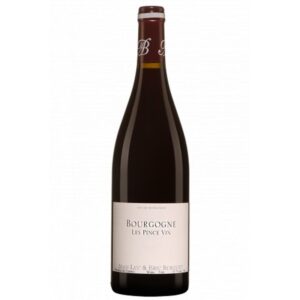 Burguet Alain - Bourgogne Pinot Noir Les Pince Vin - Rouge - 2020