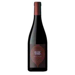 Domaine Des Roches Neuves - Saumur Champigny Outre Terre - Rouge - 2017