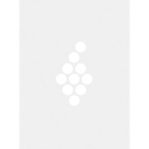 Ferret J A - Pouilly Fuisse - Blanc - 2021