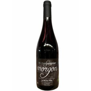Guignier Michel - Morgon La Roche Pilee - Rouge - 2020