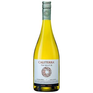 Tributo - Sauvignon Blanc Caliterra - Blanc - 2015