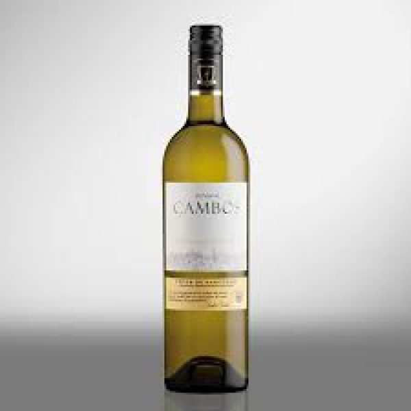 FONCALIEU COTES DE GASCOGNE Gros manseng SEC Blanc : un vin blanc sec emblématique du Languedoc