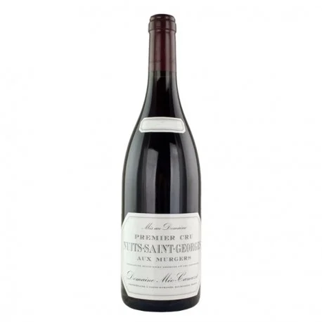 photo Meo Camuzet F&S Nuits Saint Georges 1er Cru Rouge Rouge 2021 un Grand Vin de Nuits Saint Georges 1er Cru