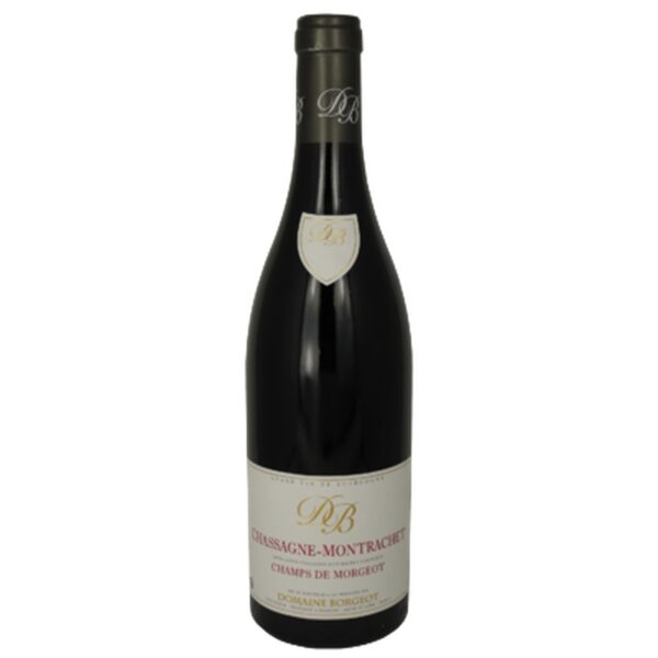Borgeot - Chassagne Montrachet Rge V.V. - Rouge - 2022