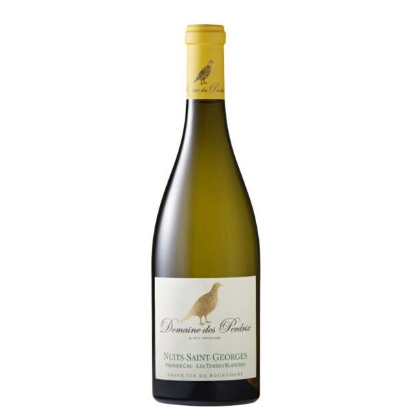 Domaine Des Perdrix - Nuits Saint Georges Blc Terres Blanches - Blanc - 2020