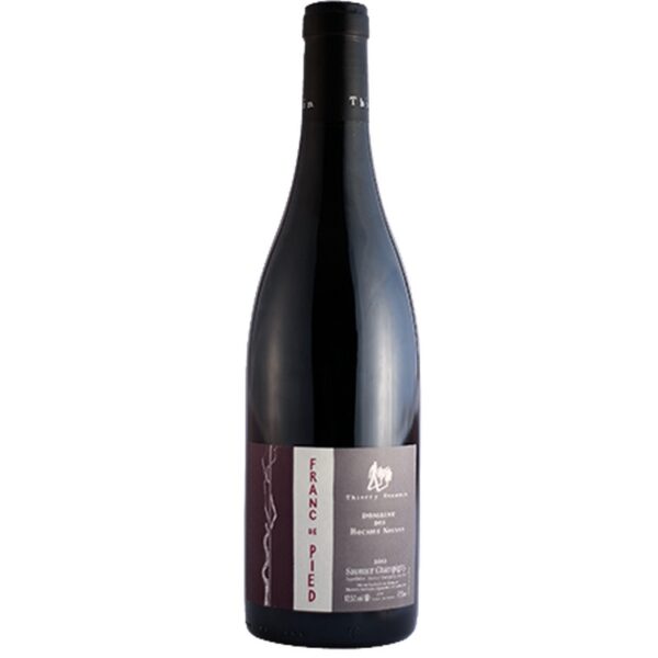Domaine Des Roches Neuves - Saumur Champigny Franc De Pied - Rouge - 2021