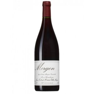 Foillard - Morgon - Rouge - 2021