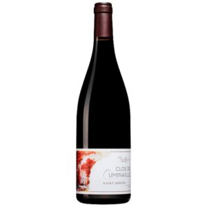 Gaillard Pierre - Saint Joseph Clos De Cuminaille - Rouge - 2022