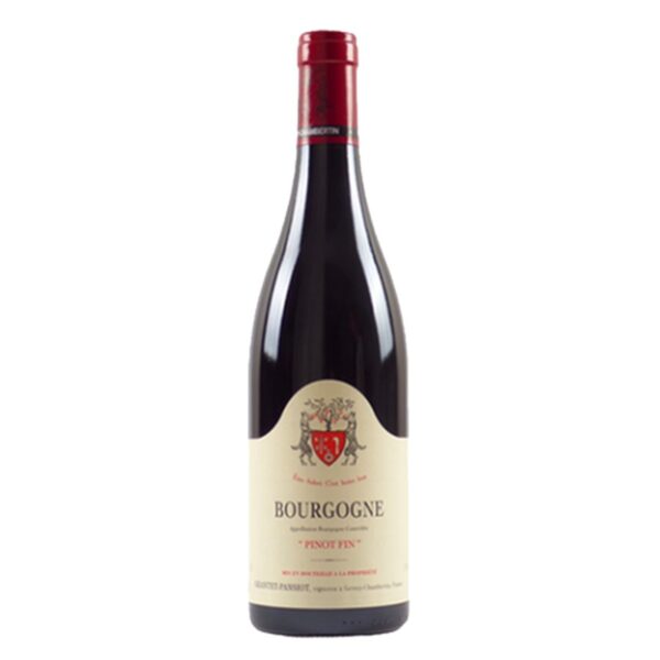 Geantet Pansiot - Bourgogne Pinot Fin - Rouge - 2021