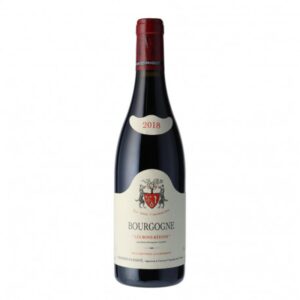 Geantet Pansiot - Bourgogne Pinot Noir Les Bons Batons - Rouge - 2021