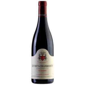 Geantet Pansiot - Gevrey Chambertin En Champs - Rouge - 2021